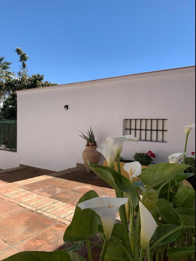 A Estrenar Preciosa Suite-Céntrico-Con Jardín y Porche Torremolinos Exterior foto